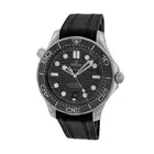 OMEGA Steel 42mm "Seamaster Professional" Chronometer 210.32.42.20.01.001 NEW