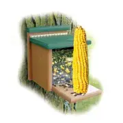 WoodLink GGSQBOX Going Green Squirrel Munch Box