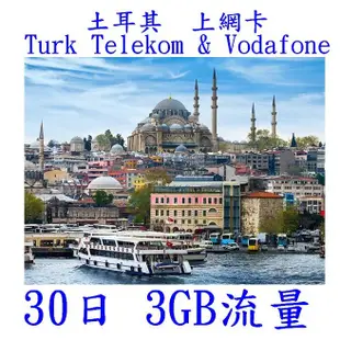 【杰元生活館】土耳其 俄羅斯 上網卡 30日 3GB流量