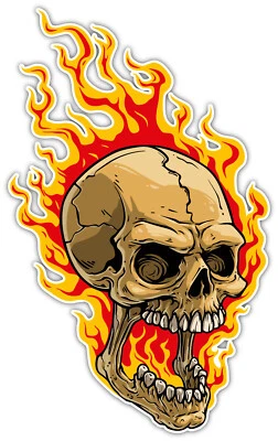 FIRE SKULL DEAD RIGH 3M STICKER USA MADE MARINE FIRE SOLDIER VEHICLE GHOST RIDER