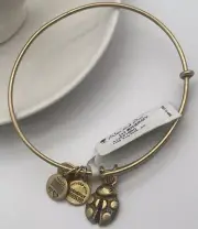 Alex and Ani Expandable Bangle Bracelet, Lady Bug Energy