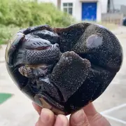 3.03LB Natural Dragon Septarian Geode Quartz Cluster Carving Crystal Healing