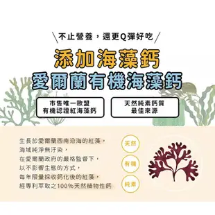 【咖樂】彩虹麵(480g/包)獨家添加愛爾蘭海藻鈣! 8種蔬菜 手工日曬