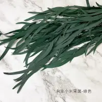 在飛比找松果購物優惠-進口永生小米果葉-乾燥花圈 乾燥花束 不凋花配草 拍照道具 