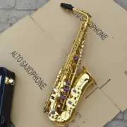 JAS-669 New Alto Eb Saxophone Brass Instrument Gold Lacquer Sax with Case