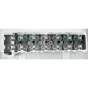 Nason Cylinder Head - Bare - 956051