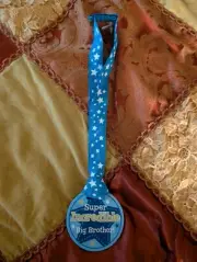 Super Incredible Big Brother Medal