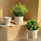 Mini Small Tree Pot Desktop False Plants Potted Artificial Plants Bonsai Home