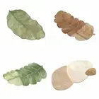 Cute Diatom Mud Mat Creative Absorbent Bath Mat Leaf Bath Mat Home Decoration