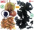 Coconut Shell Charcoal Pure Organic Activated Carbon Chips 100% Natural Ceylon