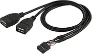 ChenYang USB 2.0 Front Panel Header 9/10Pin 1 Male to 2 USB 2.0 Female Y Splitter Mainboard Header Port Extension Cable Adapter