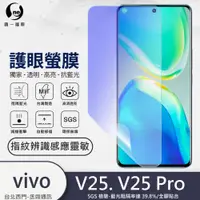 在飛比找蝦皮購物優惠-圓一 護眼螢膜 VIVO V25 PRO V25Pro V2