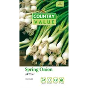 Country Value All Year Spring Onion Vegetable Seeds