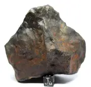 Meteorite NWA 15306 H4 Chondrite, Type 4 Meteorite, 540 gram from outer space