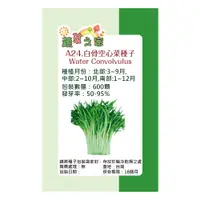 在飛比找PChome24h購物優惠-【蔬菜工坊】A24.白骨空心菜種子