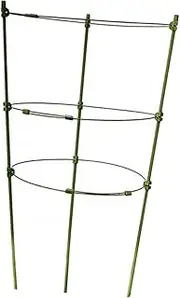 Toddmomy Plant Trellis Support Rack Durable Plastic Climbing Frame for Tomatoes and Other Stem Plants for Indoor and Outdoor Use