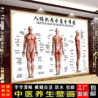 在飛比找蝦皮購物優惠-暢銷人體肌肉解剖圖掛圖結構分佈圖示意海報宣傳畫骨骼圖人體器官