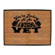 Youre Looking At An Awesome Vet - Funny Novelty Doormat Man Cave Floor mat