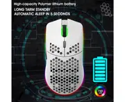 HXSJ T66 RGB 2.4G Wireless Gaming Mouse RGB Lighting Charging Mouse with Adjustable movement speed Ergonomic Design for Desktop Laptop White