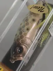 Megabass Ito Pop Max Genroku Moss LA Topwater Fishing Lure Unused