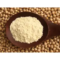在飛比找蝦皮購物優惠-非基因改造黃豆粉 100% 熟 黃豆粉 300克 夾鏈袋 密
