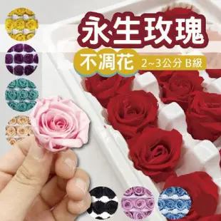 【2square shop】8入組 永生玫瑰花 B級 不凋花 玫瑰 2-3cm(永生花 乾燥花 浮游花 花頭 玫瑰花)