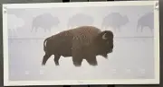 Kirby Sattler, Winter's Trail, Native American Art, Lithograph, Buffalo Art
