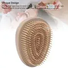 4Pcs Detangling Hairbrush Wheat Straw Soft Teeth Round Handle Dry Wet Scalp CHW