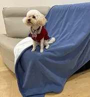 ALBATROSS Waterproof Dog Blanket, Double Side Sherpa with Velboa Splash Blanket for Pet,Washable Dog Waterproof Couch Cover for Sofa Bed Couch(Light Navy, 152 x 127cm)