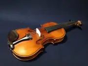Symphony Solid Wood Violin with case,Bow,Extra String Set,Rosin,Chin-Rest 4/4