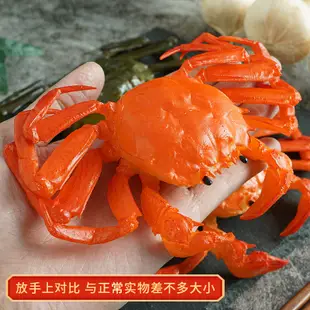 ☁☁仿真陽澄湖大閘蟹假螃蟹海鮮水產模型裝飾擺件玩具道具SW食品