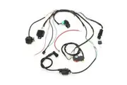 50cc 70cc 110cc 125cc Wiring Harness Loom Solenoid Coil Rectifier Dirt Bike Quad