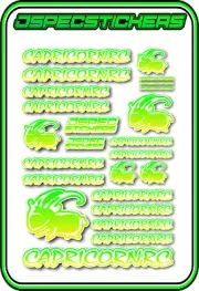 CAPRICORN RC STICKER A5 LAB 1/8 F1 1/10 TESLA ELECTRIC NITRO CAR HARD YEL GRE W