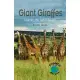 Giant Giraffes: Learning the Soft G Sound