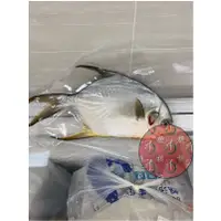 在飛比找蝦皮購物優惠-金鯧魚 <極鮮市集>海鮮冷凍食品