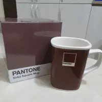 在飛比找蝦皮購物優惠-[全新附紙盒]Pantone 年度色 咖啡色 馬克杯全球限量