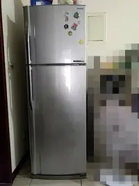 在飛比找Yahoo!奇摩拍賣優惠-TOSHIBA東芝 雙門變頻320L 電冰箱