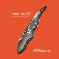 在飛比找森森購物網優惠-【ROLAND樂蘭】Aerophone GO電子薩克斯風 A