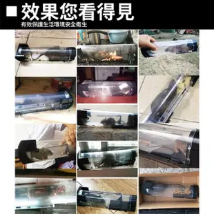 【原家良品】鼠洞式捕鼠器透明款 滅鼠神器全自動誘捕抓老鼠 3入組