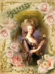 Whimsy Dust Marie Antoinette Quilt Block Multi Szs FrEE ShiPPinG WoRld WiDE (A3
