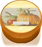 Kringle Candle Gourdgeous Tealight Candle 42g