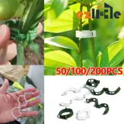 50-200x Plant Support Clips Tomato Veggie Greenhouse Garden Trellis Stake Ties