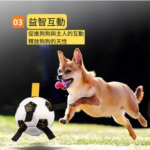 [胎王] 寵物足球玩具 狗狗互動玩具