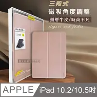 在飛比找PChome24h購物優惠-真皮系列 iPad 9/8/7 10.2吋/iPad Air