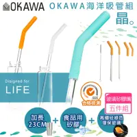 在飛比找momo購物網優惠-【丸丸媽咪】OKAWA環保矽膠玻璃吸管5件組(台灣製造 環保