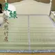 范登伯格 夏綠 天然竹加大雙人床蓆/涼蓆-6x6.2尺