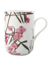 [Maxwell & Williams] Royal Botanic Garden Mug 300ml Boronia Gift Boxed in Multi