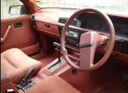 Vl HOLDEN CALAIS BERLINA INTERIOR MADEIRA RED VINYL PLASTIC PAINT SPRAY 400ML