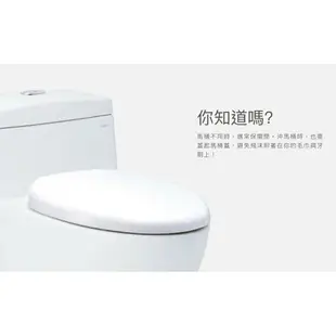 CAESAR 凱撒 省水單體馬桶C1353 普級省水、SIAA抗菌便座、經典低水箱 不含安裝