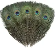 24 PCS Natural Peacock Eye Feathers 10-12" for DIY Crafts & Wedding Decor